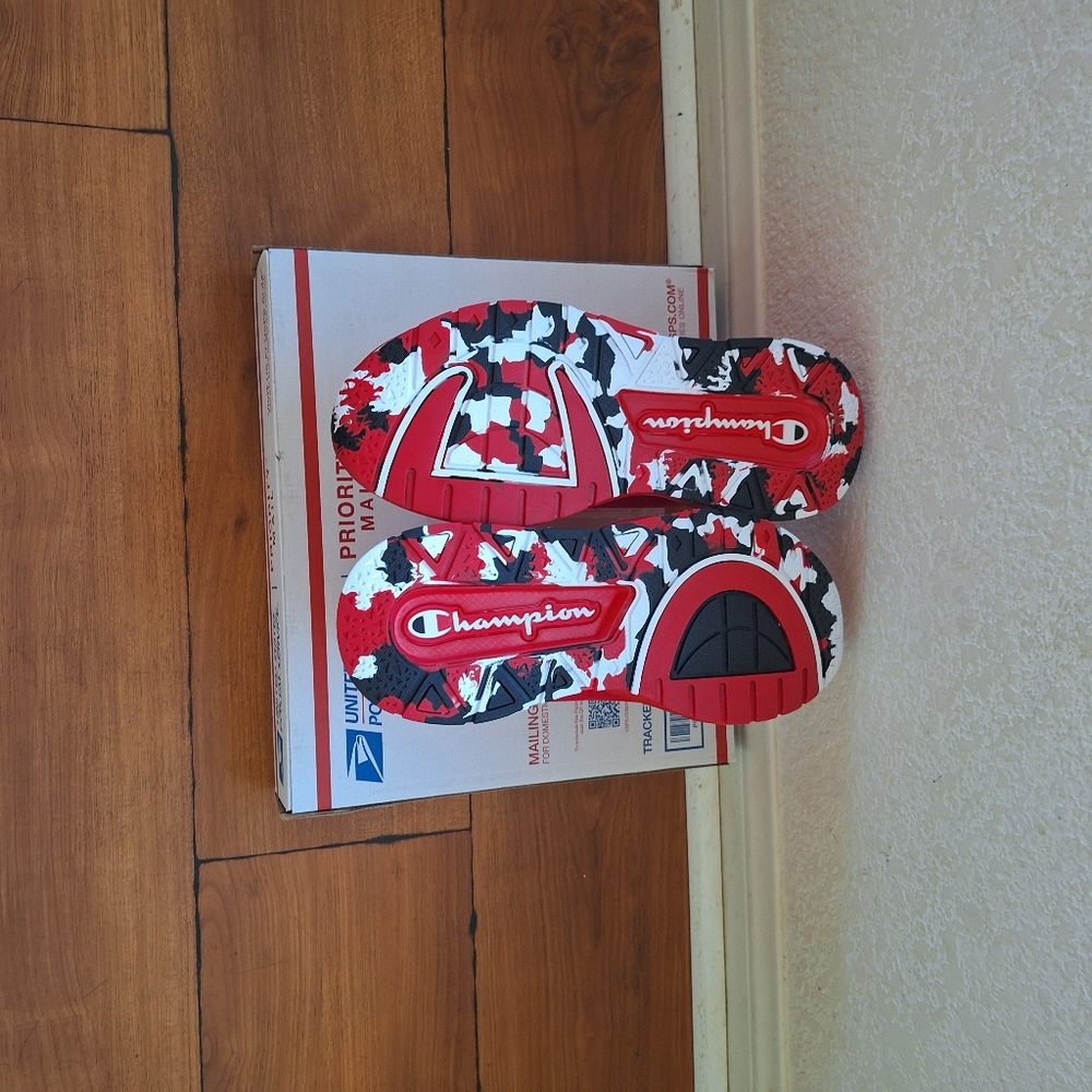 Champion - Picture 5 of 5